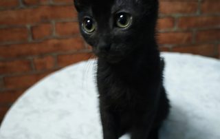 736095567_1449368960556575_43284113166062240_n