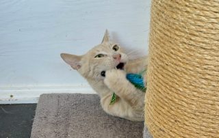 IMG_1629