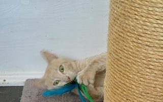 IMG_1631