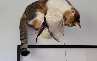 IMG_1675