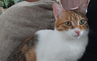 IMG_1677