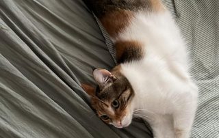 IMG_1681