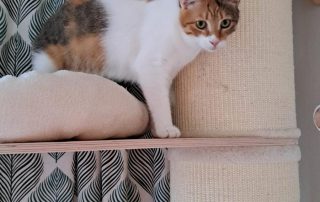 IMG_1686