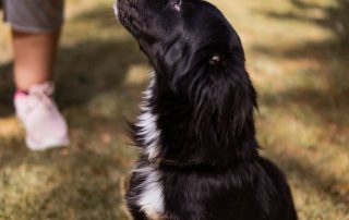 2026_Nordic-Strays-3Welpen_Flora_00 (17)