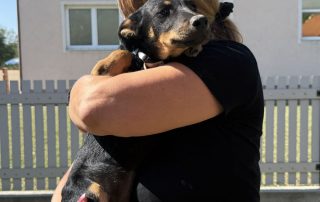 2026_Nordic-Strays-Layka-005