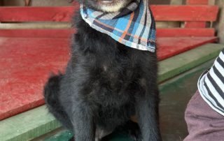 2026_Nordic-Strays-Niron_00 (6)