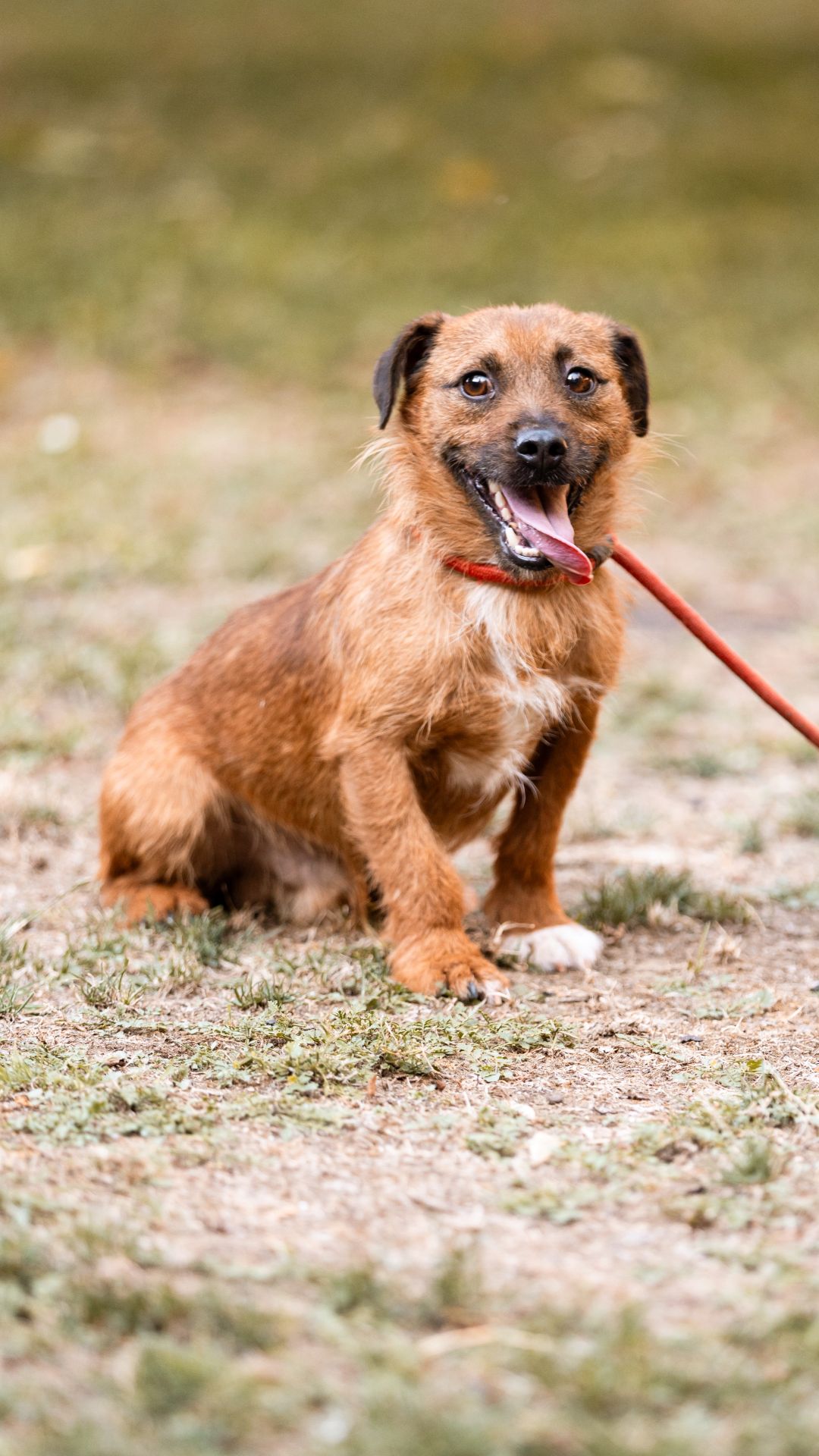 2026_Nordic-Strays-Bentley_009