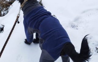 2026_Nordic-Strays-Otto_005