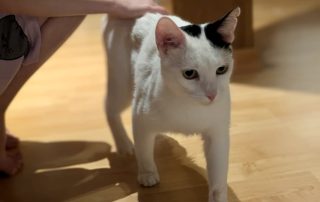 IMG_4104