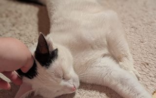 IMG_4107