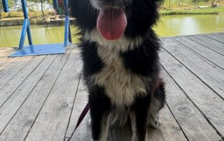 Tula10
