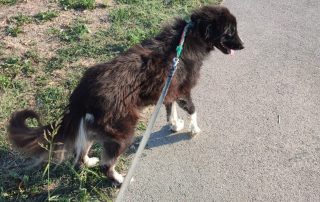 Tula4
