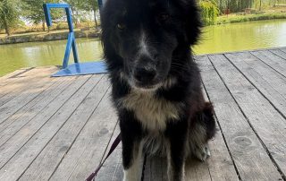 Tula7