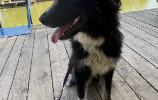 Tula8