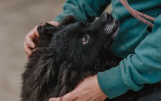 2026_Nordic-Strays-Bonnie_002