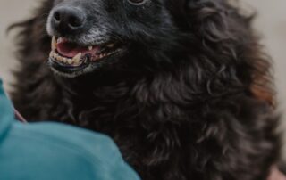 2026_Nordic-Strays-Bonnie_005