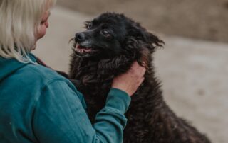 2026_Nordic-Strays-Bonnie_017