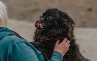 2026_Nordic-Strays-Bonnie_018