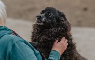 2026_Nordic-Strays-Bonnie_019