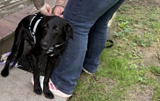 2026_Nordic-Strays-Loulou_008