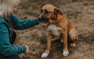 2026_Nordic-Strays-Magnus_023