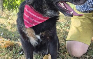 2026_Nordic-Strays-Tinaa_002