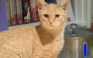 IMG_7310